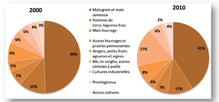 Figure 12 : Répartition des principales cultures irriguées en 2000 et 2010