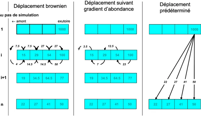 Figure  6.  Illustration des trois propositions de représentation des déplacements individuels lors d'un  phénomène de diffusion 