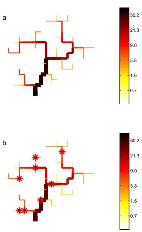 Figure 8. Répartition de la proportion d’individus dans chaque compartiment d’un bassin versant virtuel de  81 compartiments (a : en l’absence d’obstacles aux déplacements ; b : avec huit barrages), la largeur du trait  est proportionnelle au débit, la cou