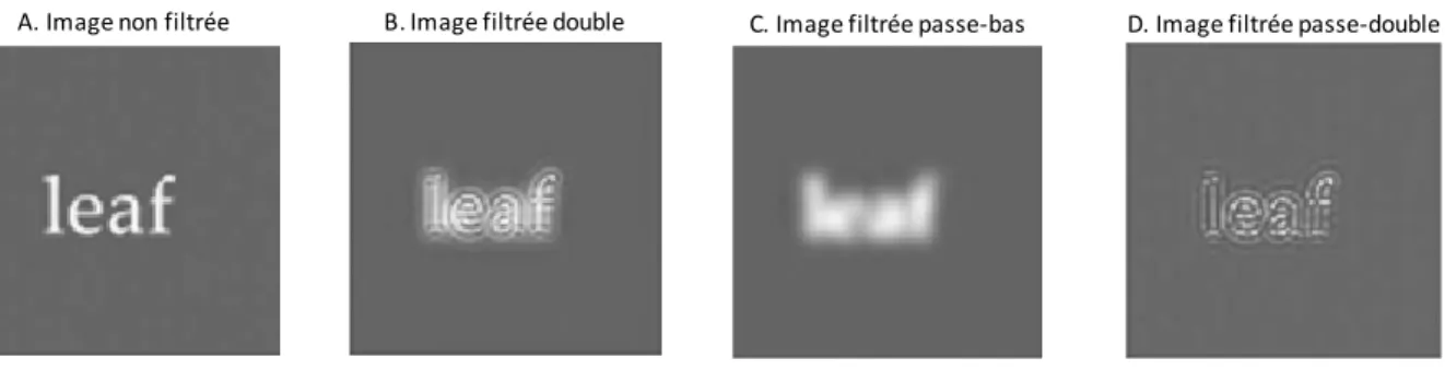 Figure 11. Exemples des filtrages utilisés par Boden &amp; Giaschi (2009), avec une image non filtrée  (A), filtrée double (B), filtrée passe-bas (C) et filtrée passe-bande (D)