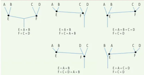 Figure 2.  Instabilité de la classification phylogénétique. Deux familles de deux espèces,  E = A + B et F = C + D (l’espèce A est le type de la famille E, tandis que C est celui de F), sont  morphologiquement très distinctes, mais leurs relations phylogén