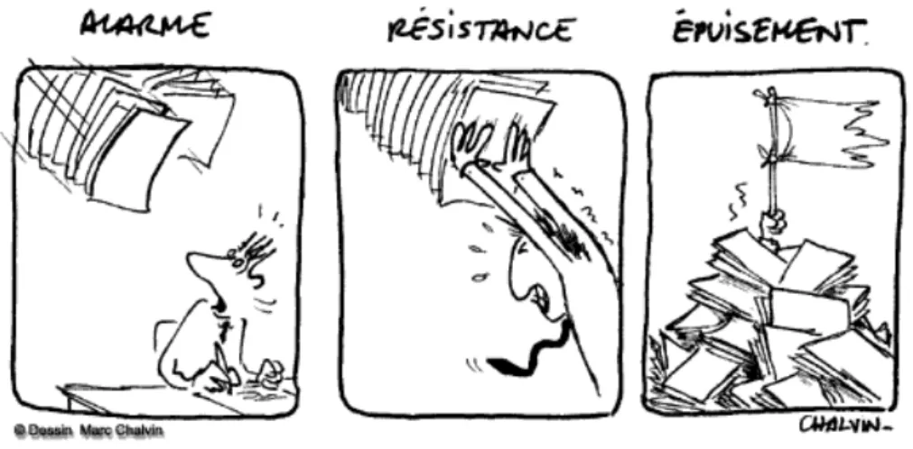 Figure 4 - Syndrome Général d’Adaptation (selon Seyle, 1956) 