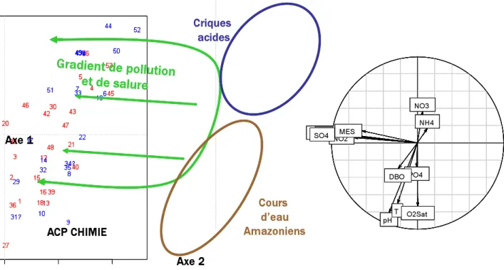 Fig. 17 : Forçages naturels et patrons d’organisation des sites  dans l’espace des données de chimie (Axe 1 X Axe 2) de l’ACP 