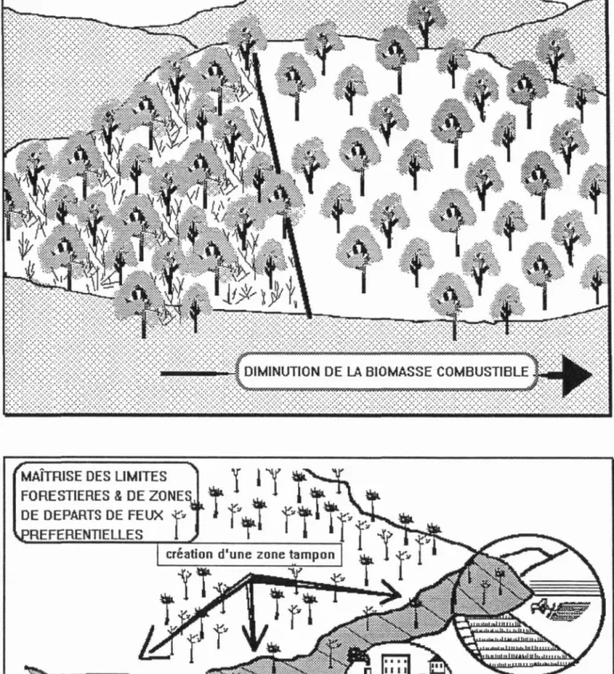 illustration 6 &amp; 7 : Stratégies recherchées