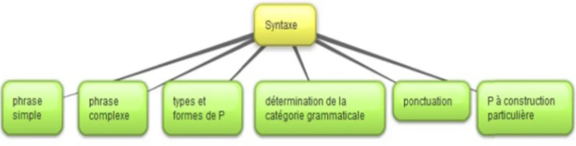 Figure 1: Les sous-catégories de la syntaxe 