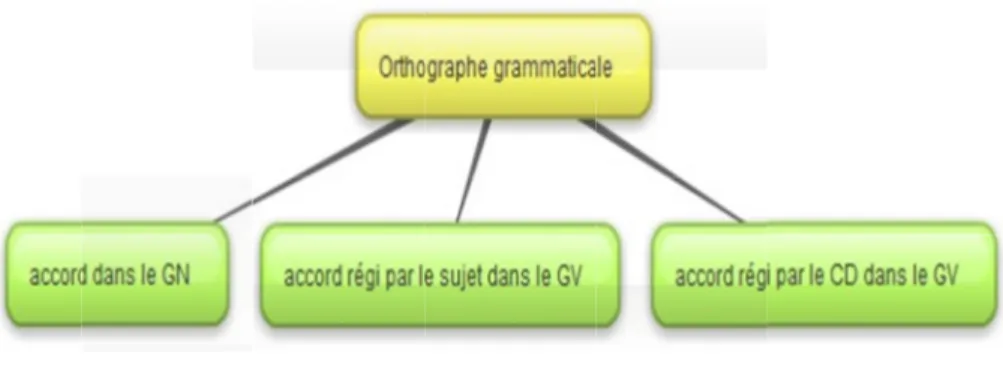 Figure 2 : Les sous-catégories de l'orthographe grammaticale 