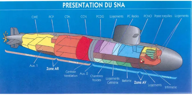 Figure 2. — Représentation schématique de l’organisation spatiale des compartiments d'un SNA 