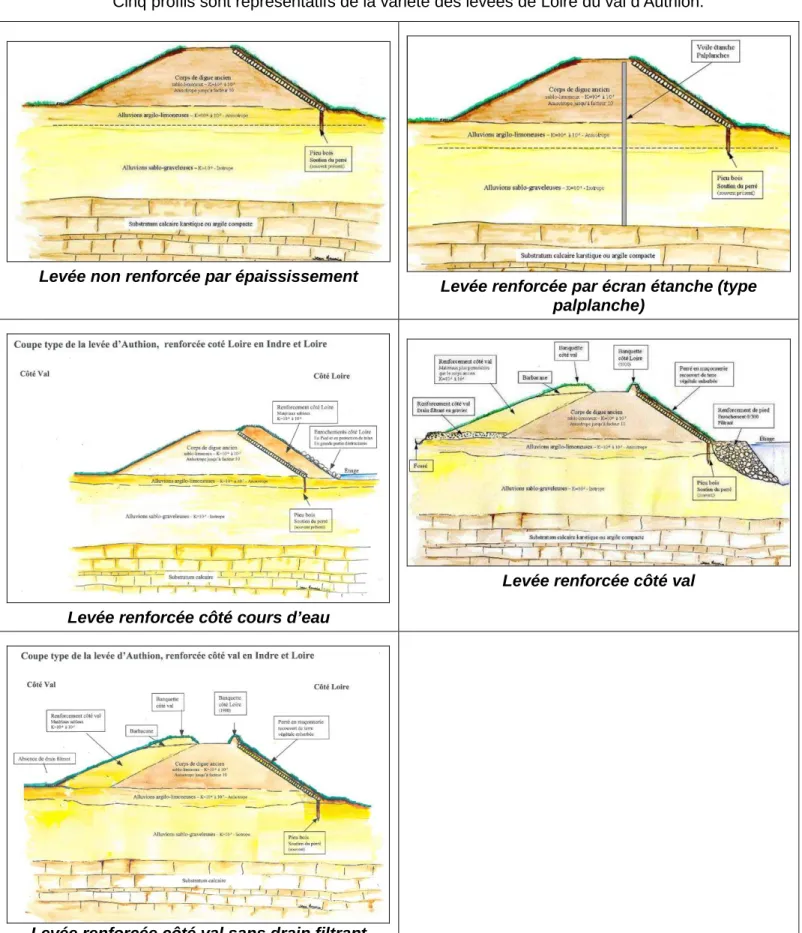 Figure 1 : profils en travers types des levées de Loire du val d’Authion 