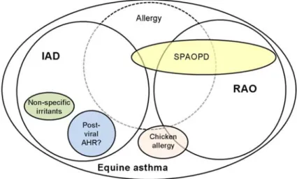 Figure 10. Equine asthma. IAD: inflammatory airway disease, RAO: recurrent airway  obstruction, SPAOPD: summer-pasture associated obstructive airway disease