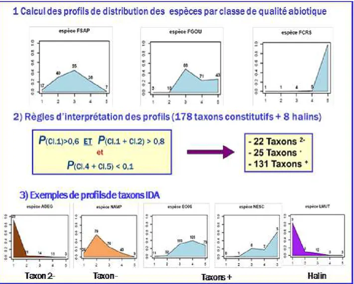 Figure 1 : Principes d’établissement des profils de qualité des taxons de l’IDA-2 