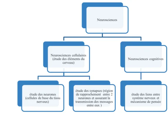 Figure 10 : Champ de la neuroéthique 