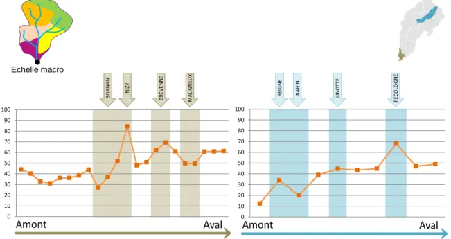 Figure 8: Indicateurs agricoles construits à l’échelle macro dans les bassins de l’Azergues (à gauche) et de  l’Ognon (à droite) (Lalande 2013)