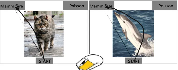 Figure 5 : Lllustraton du paradigme de mouse-tracking. Après avoir cliqué sur le bouton starts le stmulus est présenté et les partcipants doivent efectuer un mouvement de souris pour aller cliquer sur la réponse correspondante au stmulus