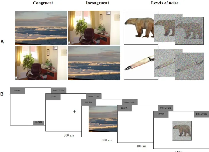 Figure 1: verview of the stmuli and procedure of Experiment 1. Part A. shows an example associaton between an animal and a tool with their congruent and incongruent contextss as well as their diferent levels of noise