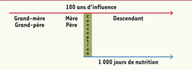 Tableau I. Les anomalies d’empreinte dans la population d’assistance médicale à la procréation par rapport à la population générale (d’après [43]).