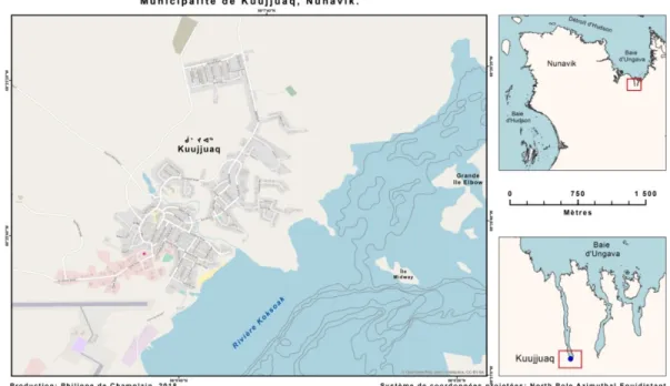 Figure 2: Le village nordique de Kuujjuaq 