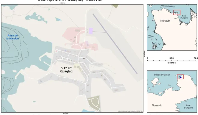 Figure 3: Le village nordique de Quaqtaq 