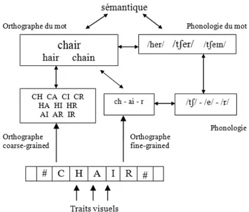 Figure 7 : Modèle Multi-Route de la Compréhension des mots en lecture silencieuse de  mots (Grainger &amp; Ziegler, 2011)