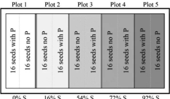 Figure 1. Exemplification of the arrangement of treatments in an  experimental block (plastic container)