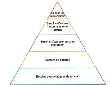 Figure  4  :  [a  pyramide  des  besolns  selon et  al, 2006.