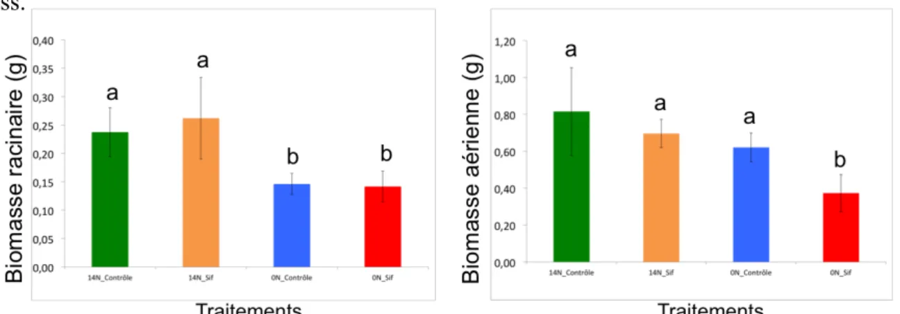 Figure  2 :  effets  du  stress  hydrique  sur  la  biomasse racinaire (prélèvement B, i.e