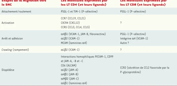Tableau I. Comparaison des principales molécules d’adhésion impliquées dans la migration des LT CD4 et des LT CD8 vers le système nerveux cen- cen-tral