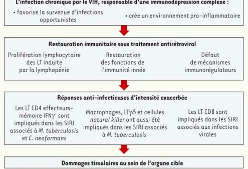 Figure 3. Mécanismes physiopatho- physiopatho-logiques du SIRI. La compréhension  actuelle des mécanismes générant  le SIRI renforce l’idée d’une réponse  immunitaire protectrice contrôlant la  réplication du pathogène, mais dont  l’intensité, exacerbée, e