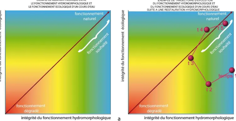 Figure  1  :  (a)  relation  théorique  « idéale »  entre  le  fonctionnement  hydromorphologique  et  le  fonctionnement écologique d’un cours d’eau (b) exemple de trajectoires (théoriques) d’évolution au 