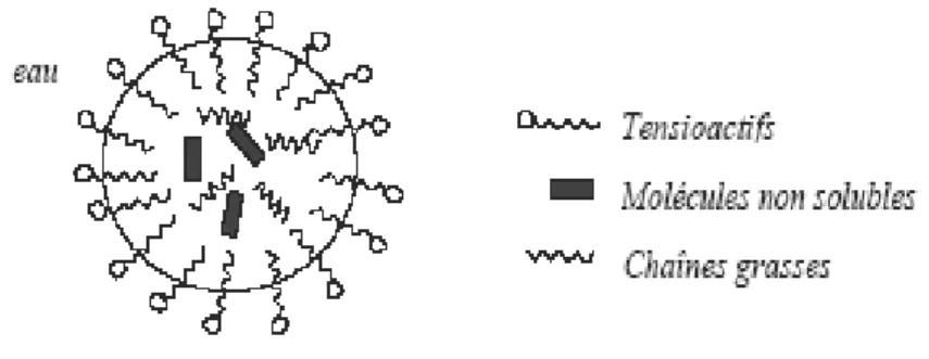 Figure 3. Structure des dérivés polyéthoxylés du laurylsulfate. 