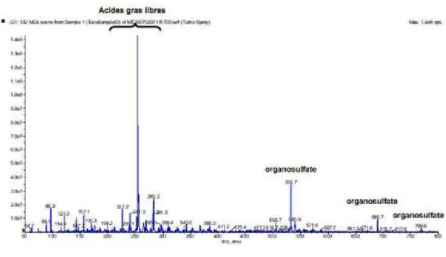 Figure 11. Spectre de masse (ESI-MS) de l’extrait 
