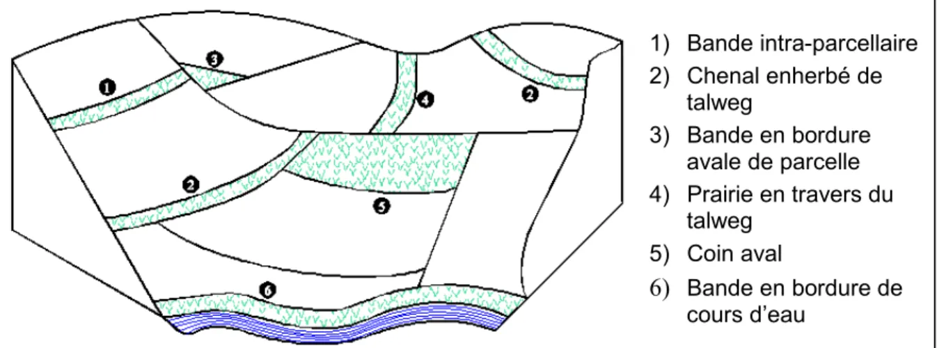 Figure 11. Localisation des zones tampons au sein d’un bassin versant (CORPEN, 1997). 