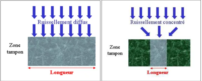 Figure 21. Longueur de la zone tampon à considérer en fonction de la concentration du ruissellement