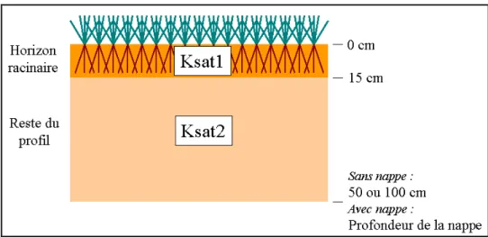 Figure 22. Profil de sol de la zone tampon considéré dans VFSMOD. 