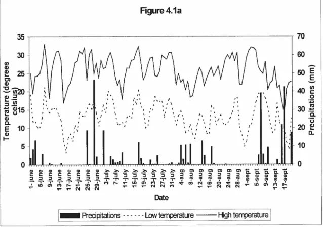 Figure 4.1. Daily total precipitation and average Iow and high temperature for the second (Figure la) and third year (b) of experiment for the evaluation of E