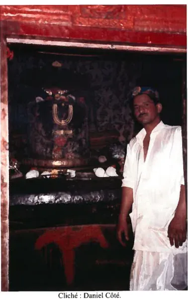 Figure 12. Temple de Manimahea, ii’a-!inga etpijJri Brahmane.