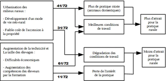 Figure 4 : Schématisation du processus de causalité de l’anticipation du développement des territoires ruraux sur les choix de carrières des étudiants vis-à-vis de la pratique rurale (n=72).