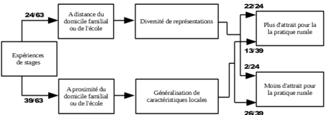 Figure  2  :  Schématisation  de  l’influence  des  stages  sur  les  représentations  de  l’activité vétérinaire rurale en fonction de leurs localisations (n=63).