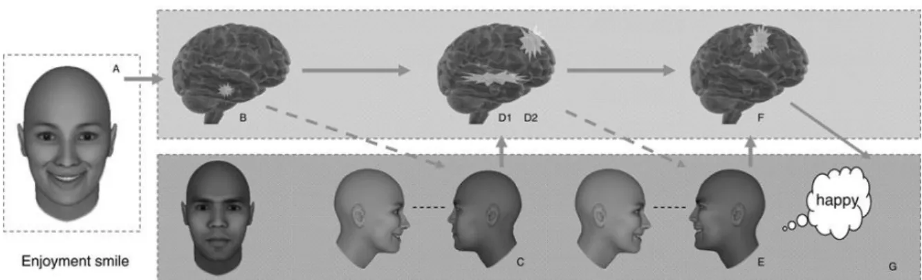 Figure  1.1.    The  SIMS  model:  the  case  of  the  embodied  simulation  of  a  smile  A)   presented  such  that  the  meaning  is  initially  uncertain