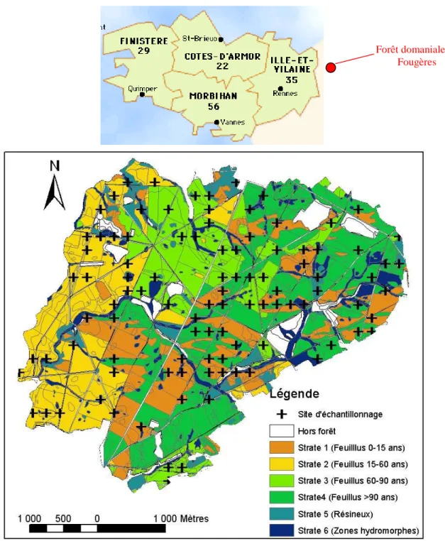 Figure  1 :  Carte  de  localisation  de  la  forêt  de  Fougères,  des  6  strates  et  des  100  sites  d’échantillonnage