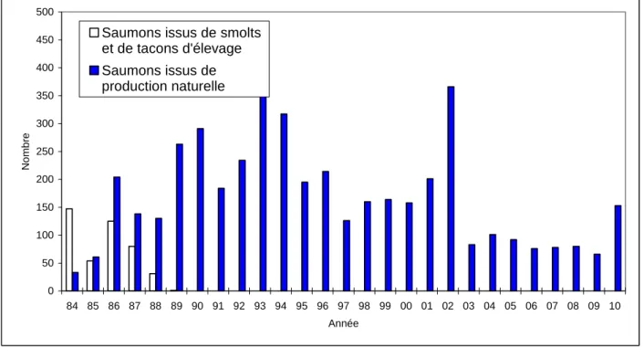 Figure 6 - Evolution de la population de saumons adultes de la Nivelle de 1984 à 2010 (2  èmes  retours inclus).