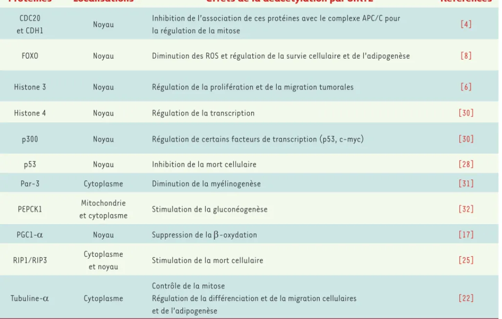 Tableau I. Les protéines décrites comme cibles de SIRT2 et les conséquences de leur déacétylation