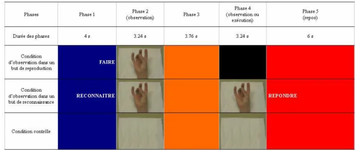 Figure 1.  Décours temporel d’un essai dans les trois conditions (i.e., condition d’observation dans un  but de reproduction, condition d’observation dans un but de reconnaissance, et condition contrôle) 