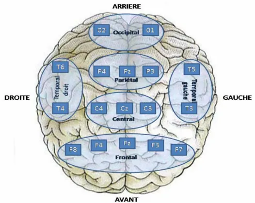 Figure 3. Les six régions d’intérêt. 