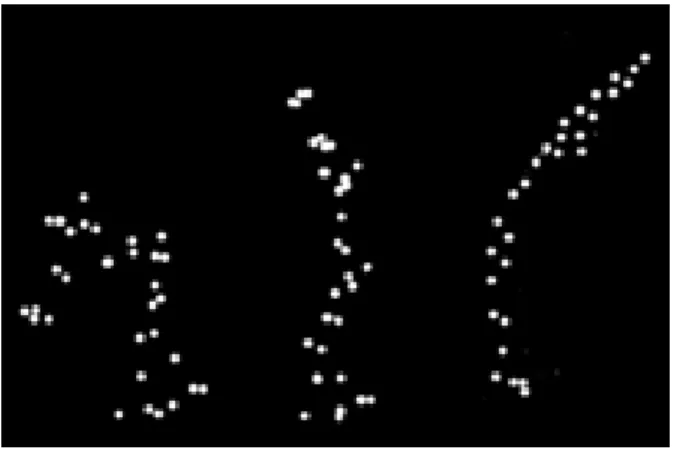 Figure 1 : Images extraites d’une séquence animée de points lumineux. 