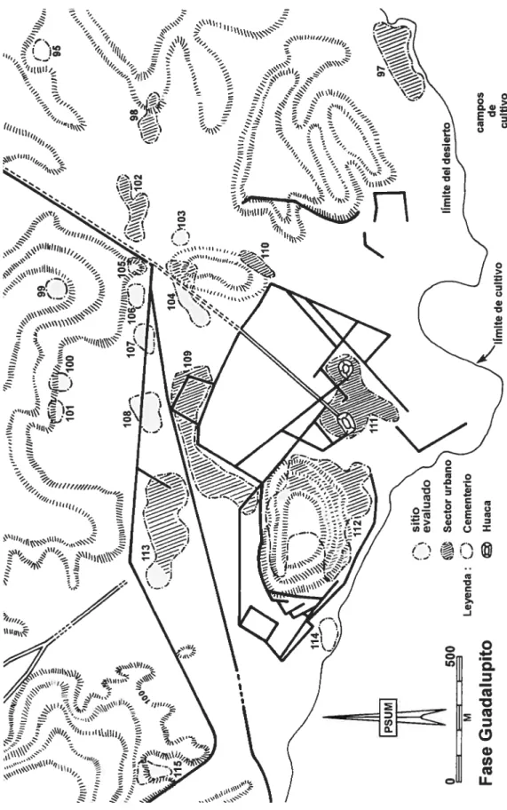 Figure 2.6: Plan du secteur Guadalupito/Pampa de os Incas, selon Wilson 1988 (Chapdelaine et Pimentel, 2002)