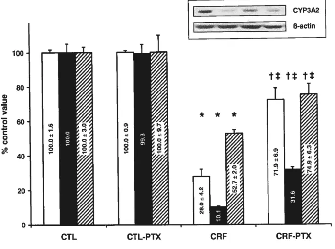 Figure 3 Expression of CYP3A2 protein (white bars), mRNA (black bars) and drug metabolizing activity as measured by using DFB as specific substrate (hatched bar) in sham operated (CIL) or CRF rats with or without prior parathyroidectomy (PTX)