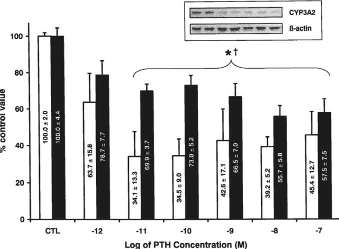Figure 4 Dose-response effect of PTH on CYP3A2 protein (white bars) and mRNA expression (black bars) by hepatocytes incubated for 24 hours with various concentrations of 1-34 rat PTH in 10% calf serum