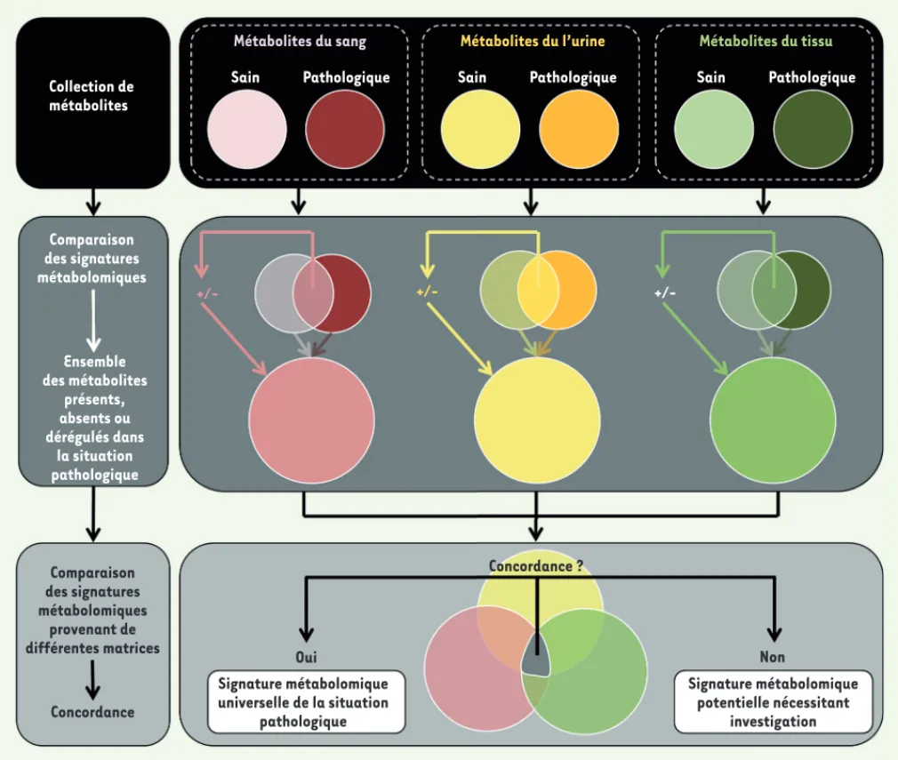 Figure 3. Définition d’une signature métabolomique pathologique à partir d’échantillons provenant de plusieurs matrices