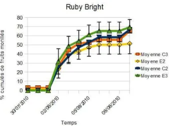 Illustration 5: Pourcentage cumulées de fruits moniliés dans  l'essai conservation selon les quatre modalités étudiées dans  les parcelles Ruby Bright après suppression du bloc 4 du fait  des contaminations extérieurs à l'essai avec les erreurs  standards