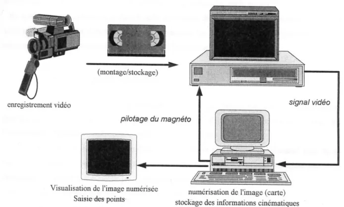 Figure 4-1 : Système d’analyse vidéo du mouvement 